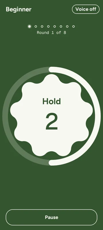 Steady's session screen: Beginner, round 1 of 8, the word Hold with 2 seconds left, and a Pause button.