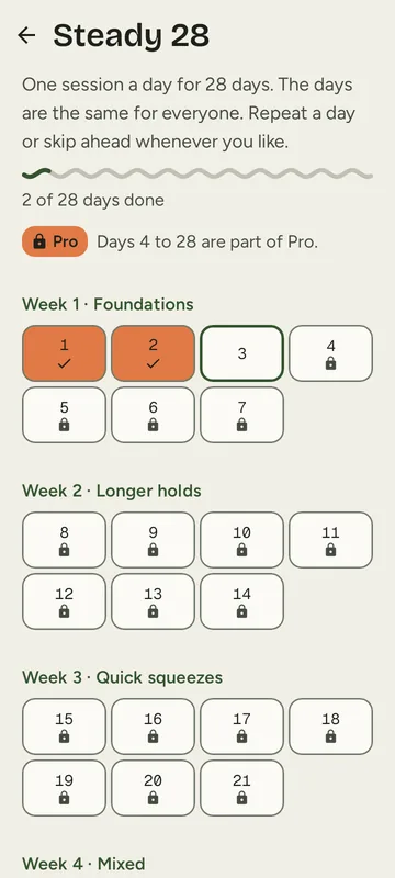 The Steady 28 screen: four weeks of seven days, days 1 and 2 ticked, day 3 next, and days 4 to 28 locked for Pro.